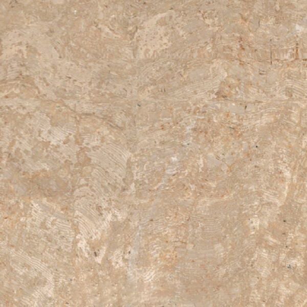 Terra Honey Limestone