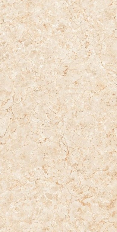 Glazed Porcelain Tiles - 600 x 1200 mm ( 24 x 48 inch ) - ARIC BROWN[1]