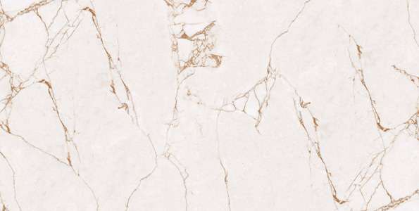 Glazed Porcelain Tiles - 600 x 1200 mm ( 24 x 48 inch ) - MONZY BIANCO R1