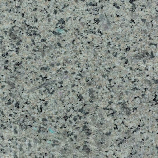 Dolphin Granite