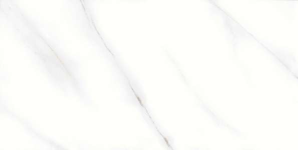 Glazed Porcelain Tiles - 600 x 1200 mm ( 24 x 48 inch ) - 2040 R1