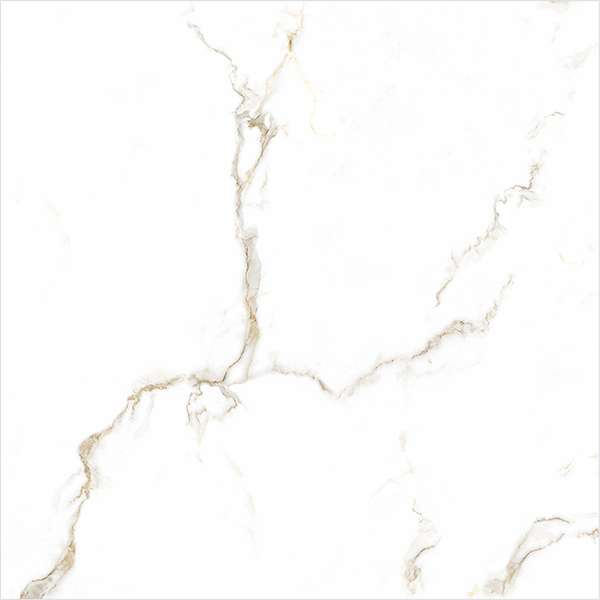 Glazed Porcelain Tiles - 600 x 600 mm ( 24 x 24 inch ) - titanium