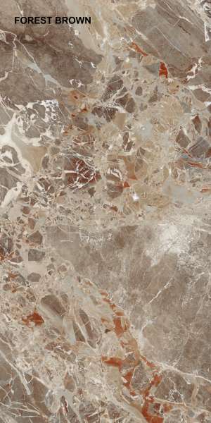 rajoles de porcellana vidriada - 600 x 1200 mm (24 x 48 polzades) - FOREST BROWN P1