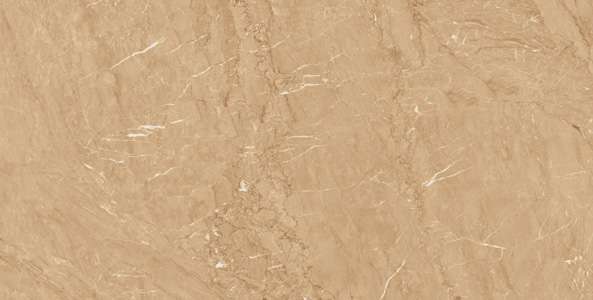 PGVT & GVT - 600 x 1200 mm (24 x 48 inch) - BRIZAL BEIGE R1