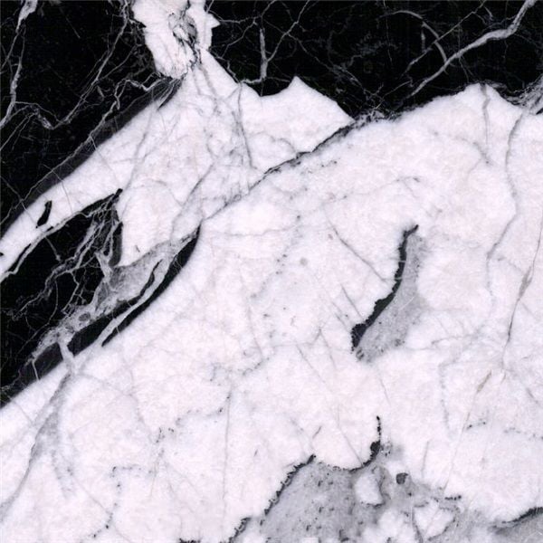 Calacatta Black Marble