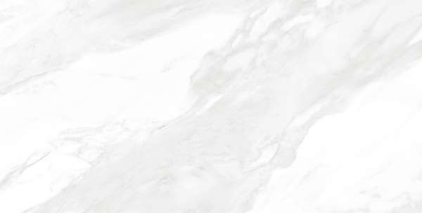 zementfliesen - 600 x 1200 mm (24 x 48 Zoll) - CARRARA BIANCO_01