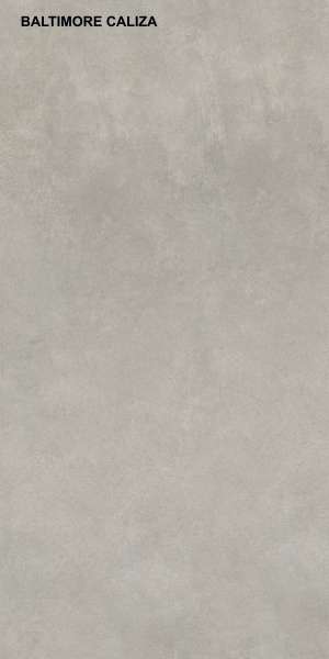 Glazed Porcelain Tiles - 600 x 1200 mm ( 24 x 48 inch ) - BALTIMORE CALIZA_P1