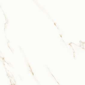 Glazed Porcelain Tiles - 600 x 600 mm ( 24 x 24 inch ) - image-338