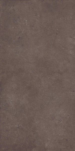 Glazed Porcelain Tiles - 800 x 1600 mm ( 32 x 64 inch ) - GALACTIC BROWN_01