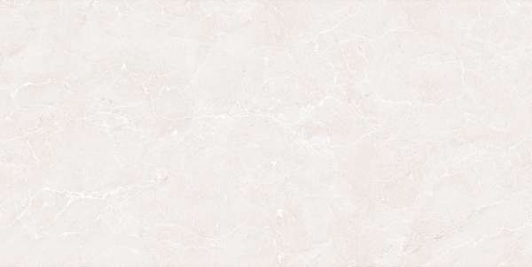 Wall Tiles - 300 x 600 mm ( 12 x 24 inch ) - CAP6047