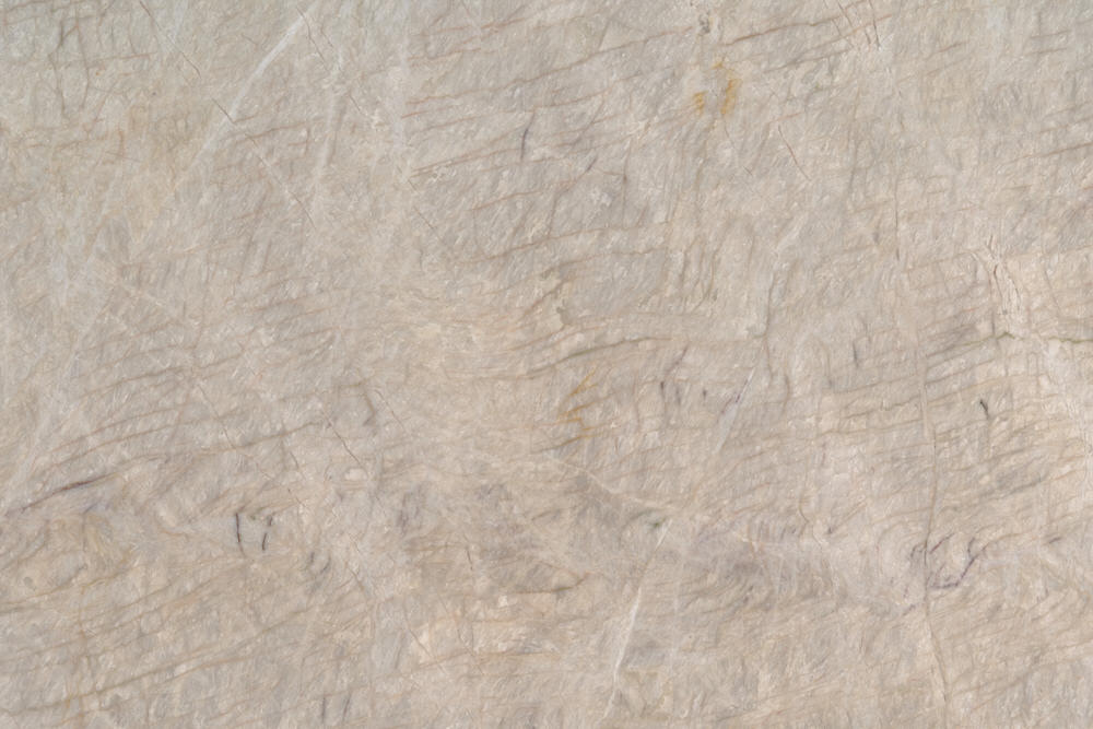 Tajmahal Quartzite countertop