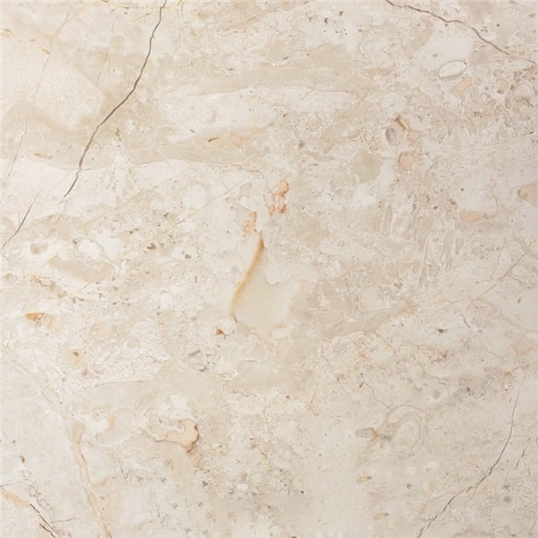 Crema Nouva Fossil Marble