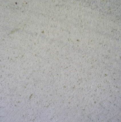 White Palimo Sandstone