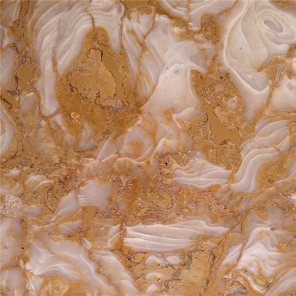 Golden Shell Marble