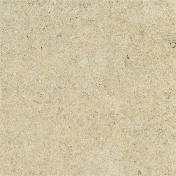 Prairie Shell Limestone