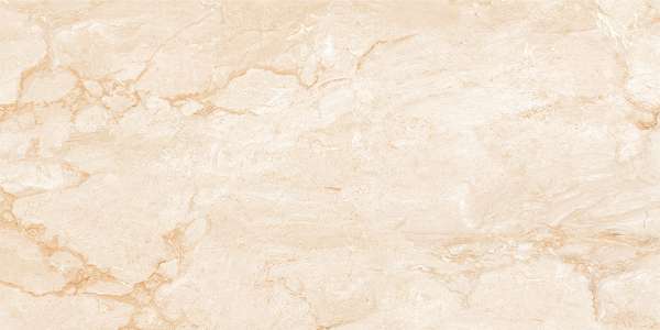 Glazed Porcelain Tiles - 600 x 1200 mm ( 24 x 48 inch ) - panamera-dyna-1