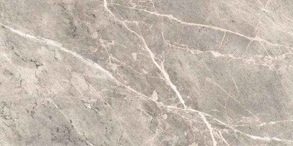 Glazed Porcelain Tiles - 600 x 1200 mm ( 24 x 48 inch ) - MORRIS CLOUD_01