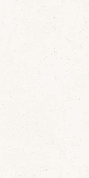 Porcelain Tiles - 600 x 1200 mm ( 24 x 48 inch ) - STAR WHITE Matt