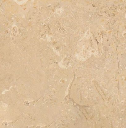 Wapanucka Oolitic Limestone