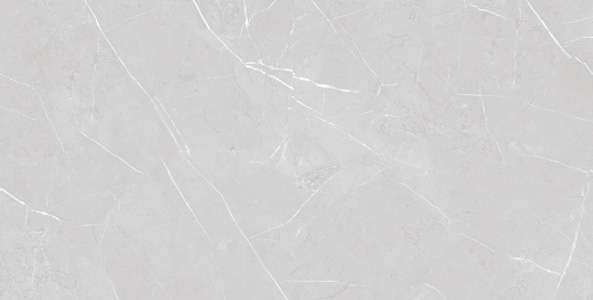 Glazed Porcelain Tiles - 600 x 1200 mm ( 24 x 48 inch ) - RIVER SILVER R1