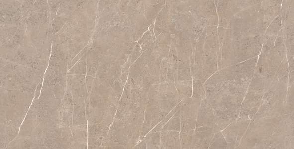 पीजीवीटी और जीवीटी टाइल्स - 600 x 1200 मिमी (24 x 48 इंच) - IBERICO BROWN R1