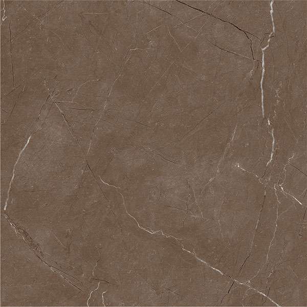 Glazed Porcelain Tiles - 600 x 600 mm ( 24 x 24 inch ) - svpl-2020-1