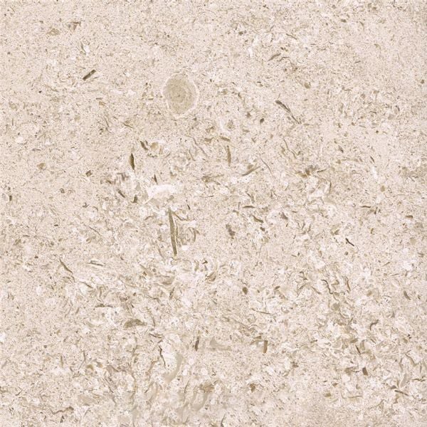 Kanfanar Shells