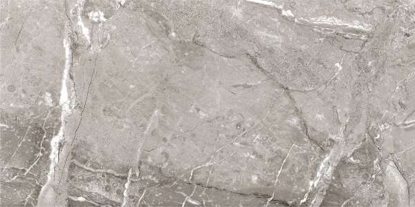 piso azulejo - 600 x 1200 mm (24 x 48 pulgadas) - raymi-dark-grey-1