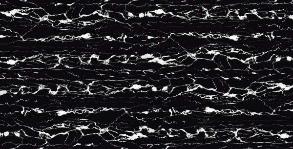 Glazed Porcelain Tiles - 300 x 600 mm ( 12 x 24 inch ) - Black Portro