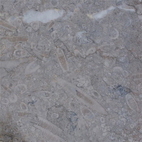 Swaledale Fossil Grey