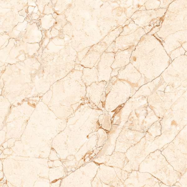 piastrelle gres porcellanato - 600 x 600 mm (24 x 24 pollici) - ROSALIYA