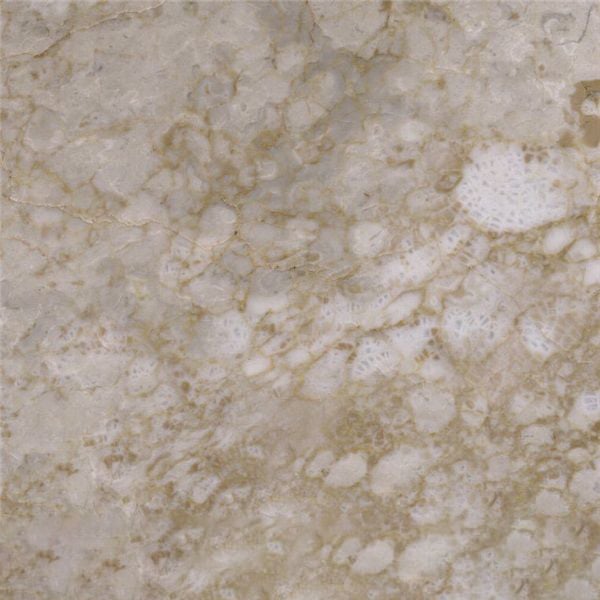 Yugong Cream Marble