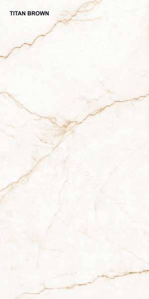 Glazed Porcelain Tiles - 600 x 1200 mm ( 24 x 48 inch ) - TITAN BROWN P1 