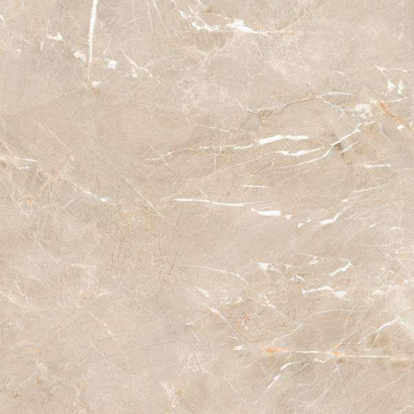 pavimento gres porcellanato - 600 x 600 mm (24 x 24 pollici) - 1369.ah