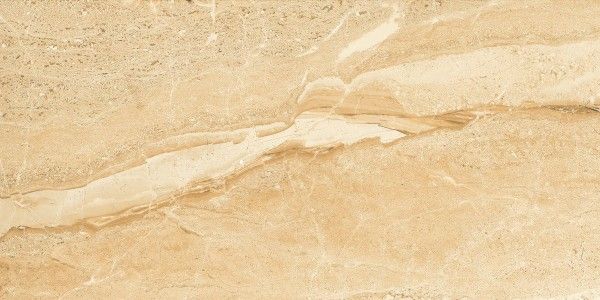 Glazed Porcelain Tiles - 600 x 1200 mm ( 24 x 48 inch ) - Dyna Fanta