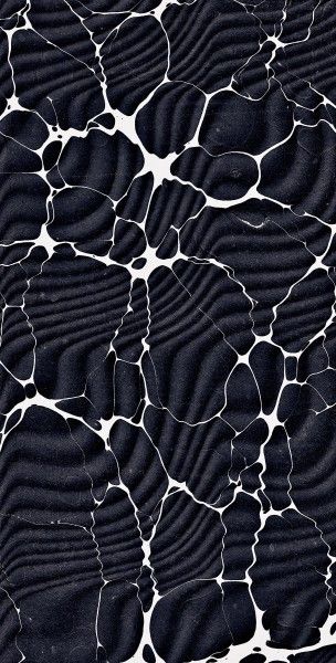 بلاط الباركيه - 600 × 1200 مم (24 × 48 بوصة) - BLACK SILK_01