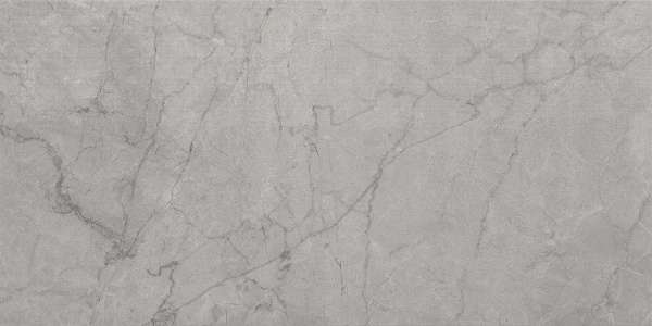 azulejo hidráulico - 600 x 1200 mm (24 x 48 polegadas) - baleno-light-grey-1