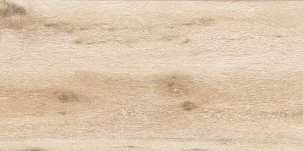 rajoles de porcellana vidriada - 600 x 1200 mm (24 x 48 polzades) - IRONWOOD BEIGE-R1