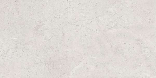 Wall Tiles - 300 x 600 mm ( 12 x 24 inch ) - CAP6011