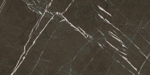 tiling porcelain stoneware - 800 x 1600 mm (32 x 64 pouces) - PIETRA NATURAL