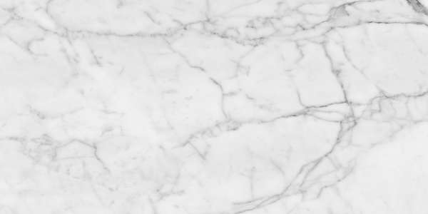 pavimento gres porcellanato - 600 x 1200 mm (24 x 48 pollici) - MARMI BIANCO_01