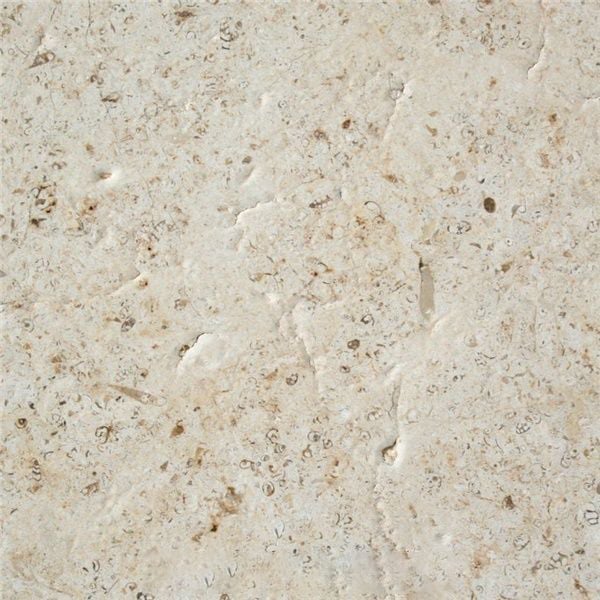 Ancient Earth Limestone