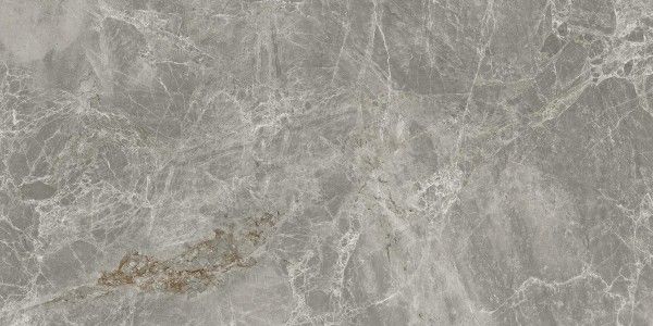 Płyta porcelanowa - 800x1600mm (32x64 cale) - Emperder Grigio