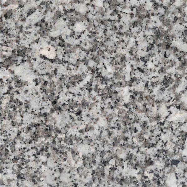 Silver Fish Granite