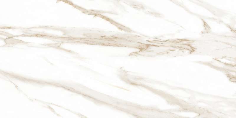 Glazed Porcelain Tiles - 600 x 1200 mm ( 24 x 48 inch ) - OKLEY LIGHT_01