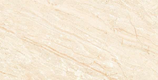 Glazed Porcelain Tiles - 300 x 600 mm ( 12 x 24 inch ) - DYNO LAURANCE_R1