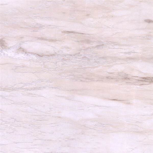 Eurasian White Wood Marble