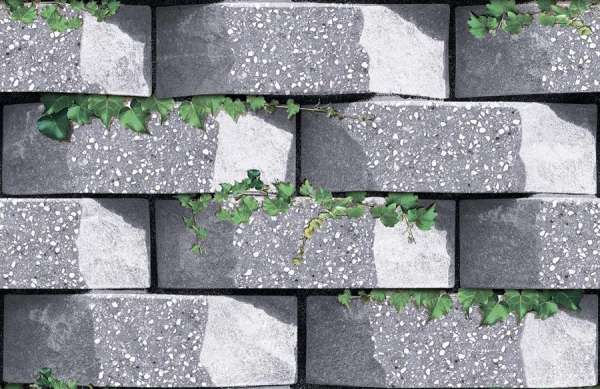 Giga Ijinle Igbega Tiles - 300 x 450 mm (12 x 18 inch) - HD-1505