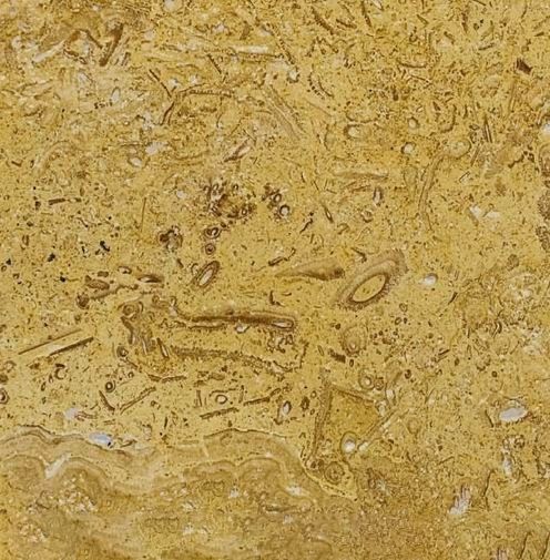 Capella Travertine 