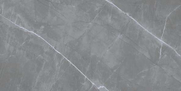 rajoles de porcellana vidriada - 600 x 1200 mm (24 x 48 polzades) - EMBRACE GREY R1